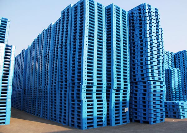 �F������бP